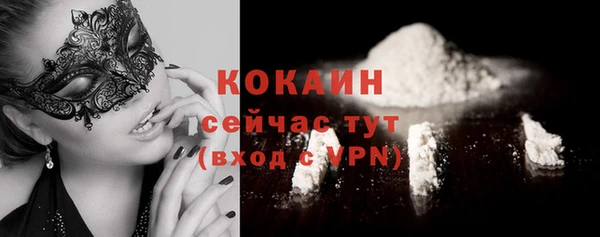 дживик Абинск