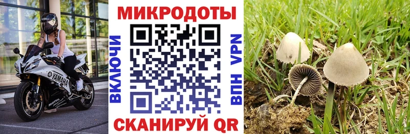 Псилоцибиновые грибы GOLDEN TEACHER  hydra как зайти  Магнитогорск  где можно купить  
