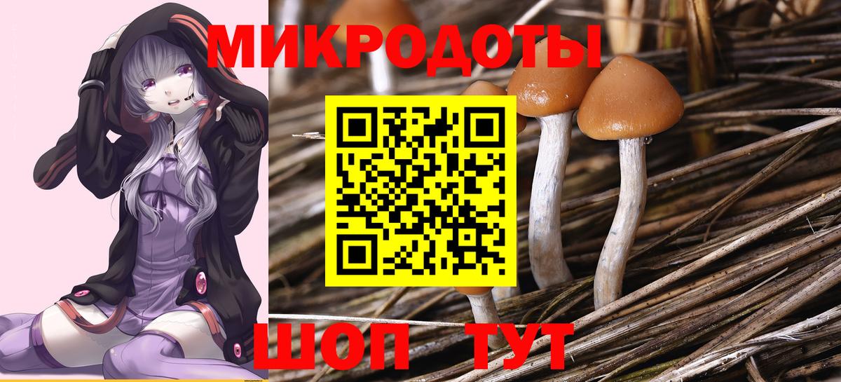 продажа наркотиков  Галлюциногенные грибы ЛСД  Магнитогорск  Вход с VPN  Псилоцибиновые грибы Psilocybe 