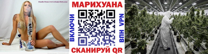 Канабис тримм  где найти   Магнитогорск 